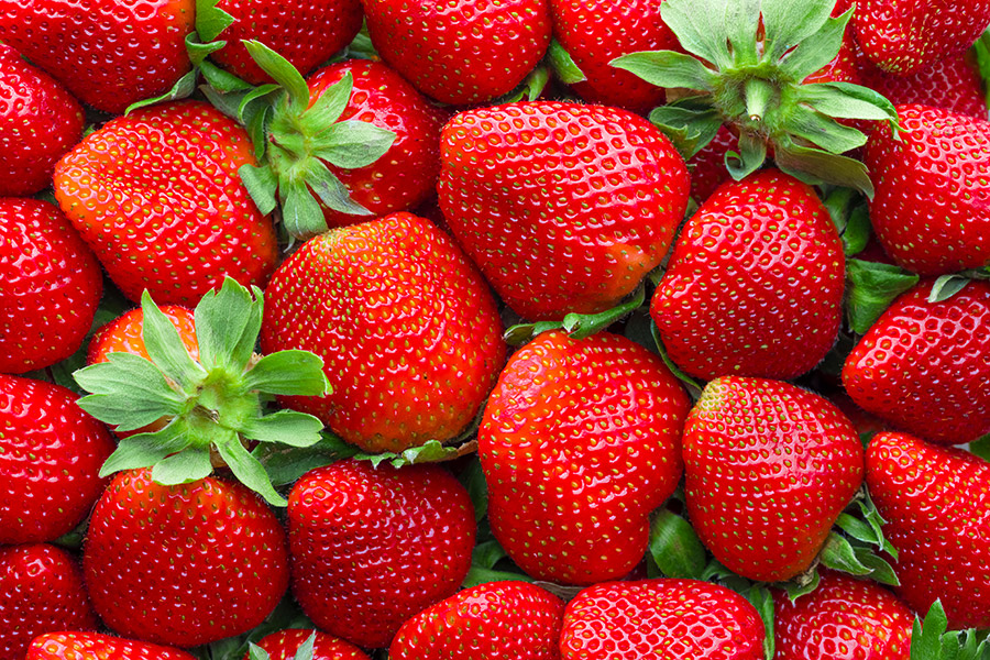 Erdbeeren von Beerenobsthof Frank Blömer