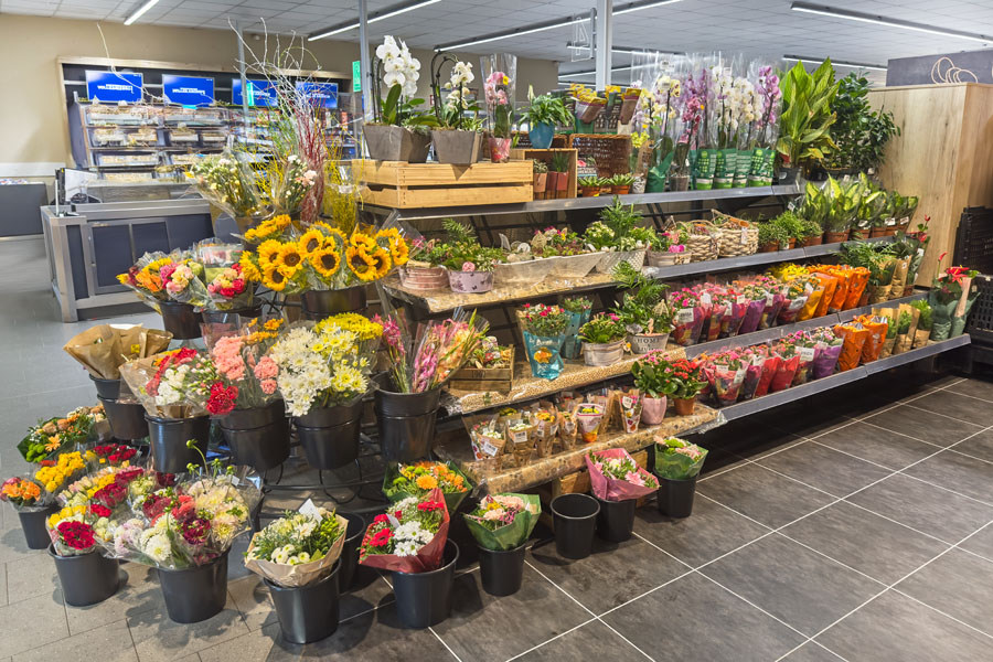 Blumen
